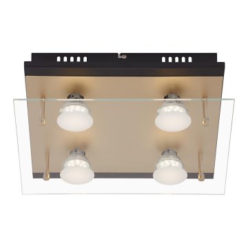 Briloner 3589-045 - LED-kattovalaisin 4xGU10/4W/230V