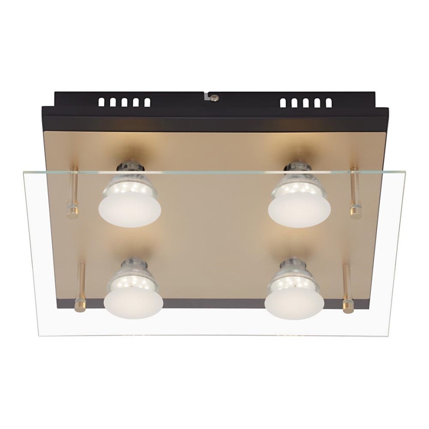 Briloner 3589-045 - LED-kattovalaisin 4xGU10/4W/230V