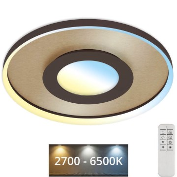 Briloner 3640017 - Himmennettävä LED-kattovalaisin FRAME LED/25W/230V 2700-6500K + kauko-ohjaus