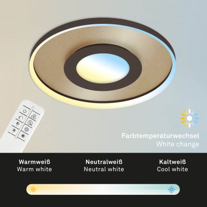 Briloner 3640017 - Himmennettävä LED-kattovalaisin FRAME LED/25W/230V 2700-6500K + kauko-ohjaus