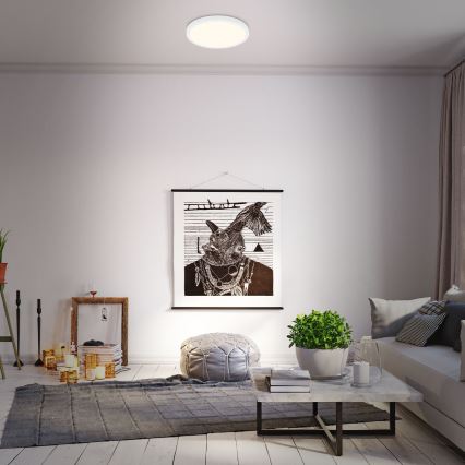 Briloner 3704-016 - Himmennettävä LED-kattovalaisin RUNA LED/22W/230V 2700-6500K valkoinen + kauko-ohjaus