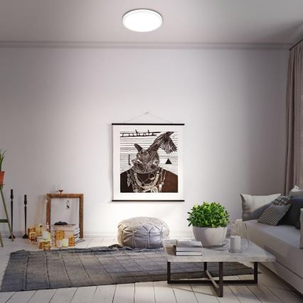 Briloner 3709-016 - LED RGBW Himmennettävä kattovalo LED/22W/230V 4000K halkaisija 38 cm valkoinen + kauko-ohjaus