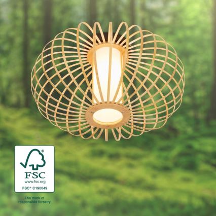 Briloner 3759011 - Kattovalo 1xE27/10W/230V halkaisija 40 cm bambu