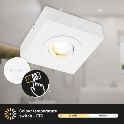Briloner 3996016 - LED-kohdevalaisin CTS LED/4W/230V 2700/4000K valkoinen