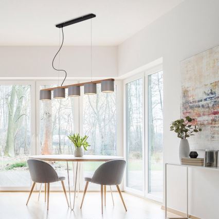 Briloner 4075-054 - Riippuvalaisin johdolla 5xE14/25W/230V