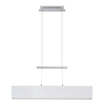 Briloner 4214-016 - LED-kattokruunu narussa TELA 1xLED/20W/230V