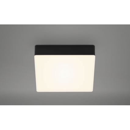 Briloner 7069-015 - LED-kattovalaisin LED/11W/230V musta