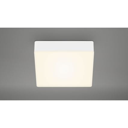 Briloner 7069-016 - LED-kattovalaisin LED/11W/230V valkoinen