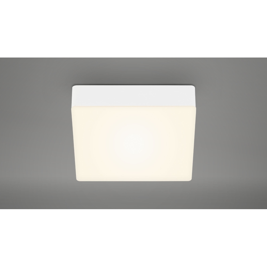 Briloner 7069-016 - LED-kattovalaisin LED/11W/230V valkoinen