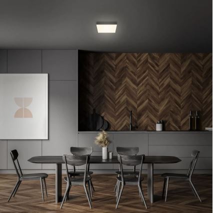 Briloner 7070-015 - LED-kattovalaisin FLAME LED/16W/230V musta