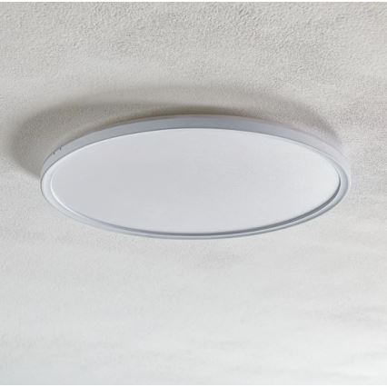 Briloner 7094-416 - LED RGBW Himmennettävä kattovalo SLIM LED/22W/230V + kauko-ohjaus
