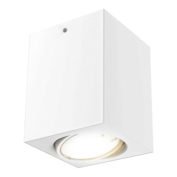 Briloner 7120-016 - LED-kohdevalo TUBE 1xGU10/5W/230V kulmikas