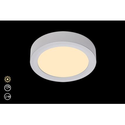 Briloner 7124-014 - Himmennettävä LED-kattovalo FIRE LED/12W/230V 3000K