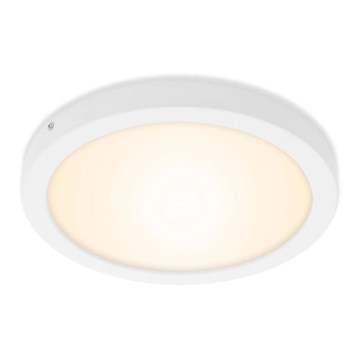 Briloner 7141-016 - LED-kattovalaisin FIRE LED/21W/230V