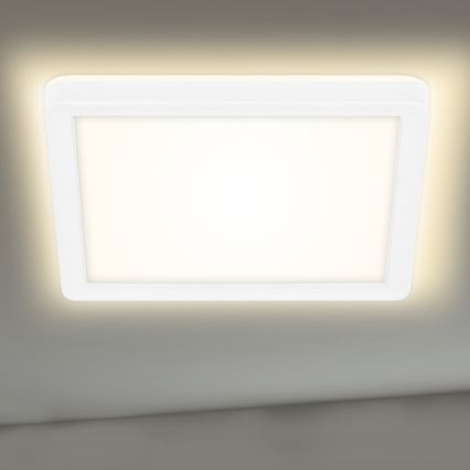 Briloner 7153-416 - LED-kattovalaisin SLIM LED/12W/230V
