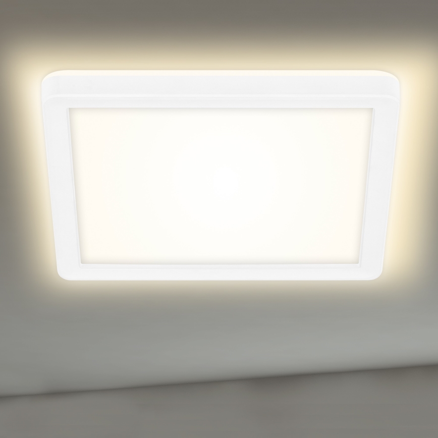 Briloner 7153-416 - LED-kattovalaisin SLIM LED/12W/230V