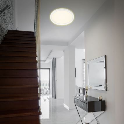 Briloner 7363-016 - LED-kattovalaisin CADRE LED/22W/230V d. 42,5 cm valkoinen