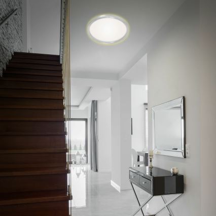 Briloner 7363-019 - LED-kattovalaisin CADRE LED/22W/230V d. 42,5 cm