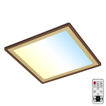 Briloner 7459-417 - Himmennettävä LED-kattovalaisin DECO LED/24W/230V 2700-6500K + kauko-ohjaus