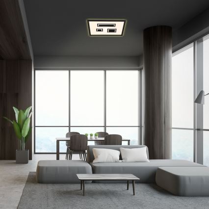Briloner - LED-kattovalaisin PAC LED/22W/230V