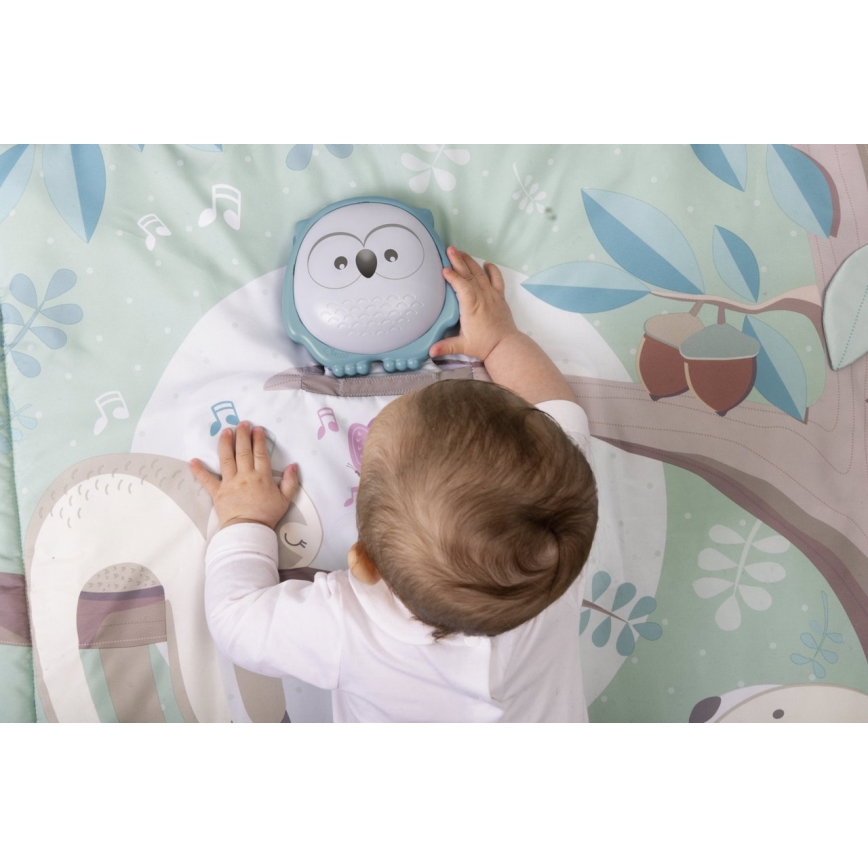 Chicco - Lasten peitto leikkimiseen 2in1 3xAAA pöllö