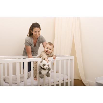 Cloud B - Snuggle buddy 2xAA panda