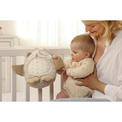 Cloud B - Snuggle buddy 2xAA pöllö