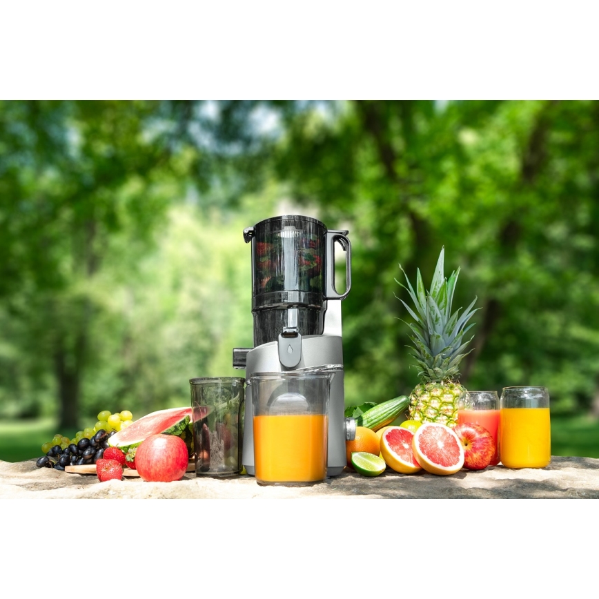 Concept LO7120 - Hidas mehupuristin JUICY 250W/230V harmaa