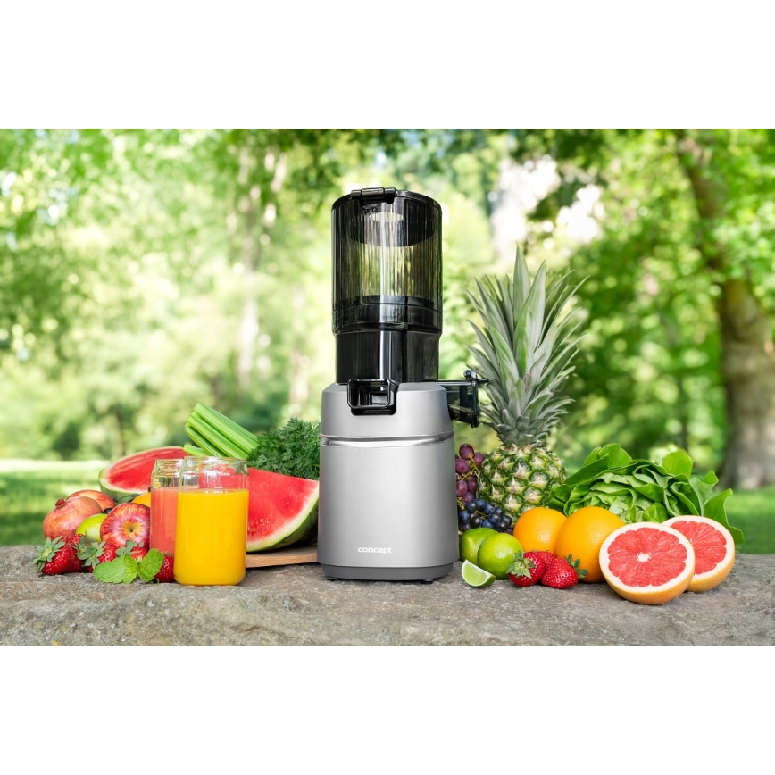 Concept LO7120 - Hidas mehupuristin JUICY 250W/230V harmaa