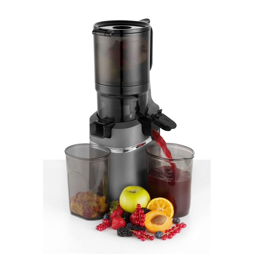 Concept LO7120 - Hidas mehupuristin JUICY 250W/230V harmaa