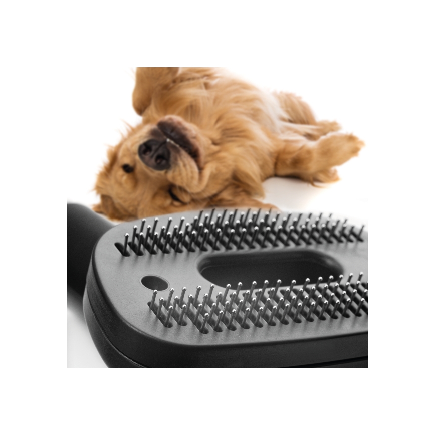 Concept VP5240N - Pussiton pölynimuri 4A RADICAL PET EXPERT 2,5 l 800W/230V pronssi