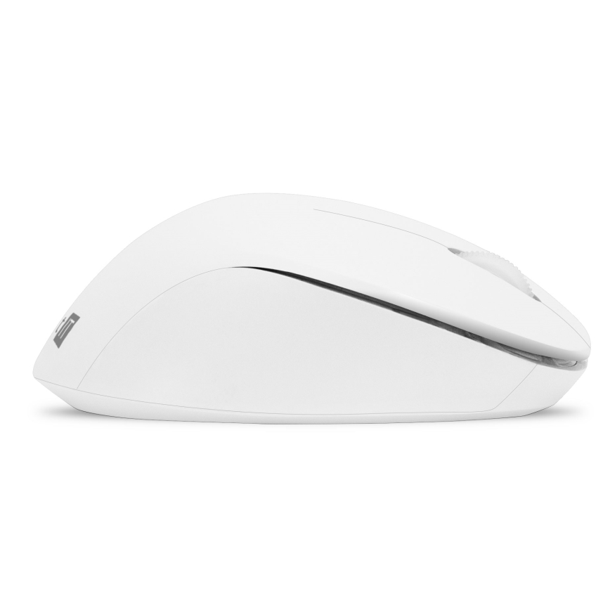 CONNECT IT CKM-7804-CS - Langaton näppäimistö ja hiiri 1200 DPI CZ/SK-lokalisaatiolla 1xAAA + 1xAA valkoinen