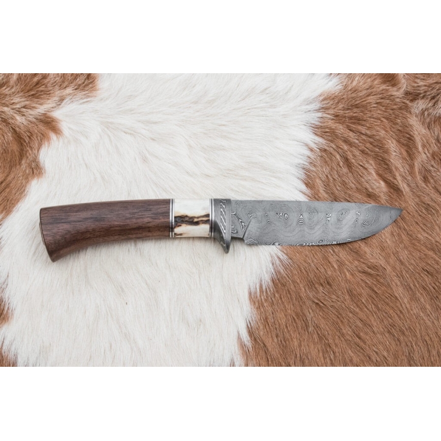 Damaskos metsästysveitsi 11,8 cm saksanpähkinä/poronsarvet