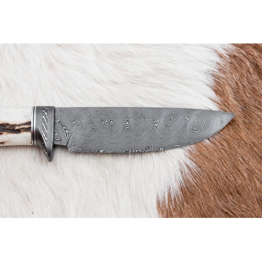 Damaskos metsästysveitsi 11,8 cm saksanpähkinä/poronsarvet
