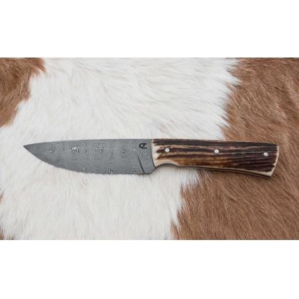 Damaskos metsästysveitsi minisahalla 11 cm poronsarvet