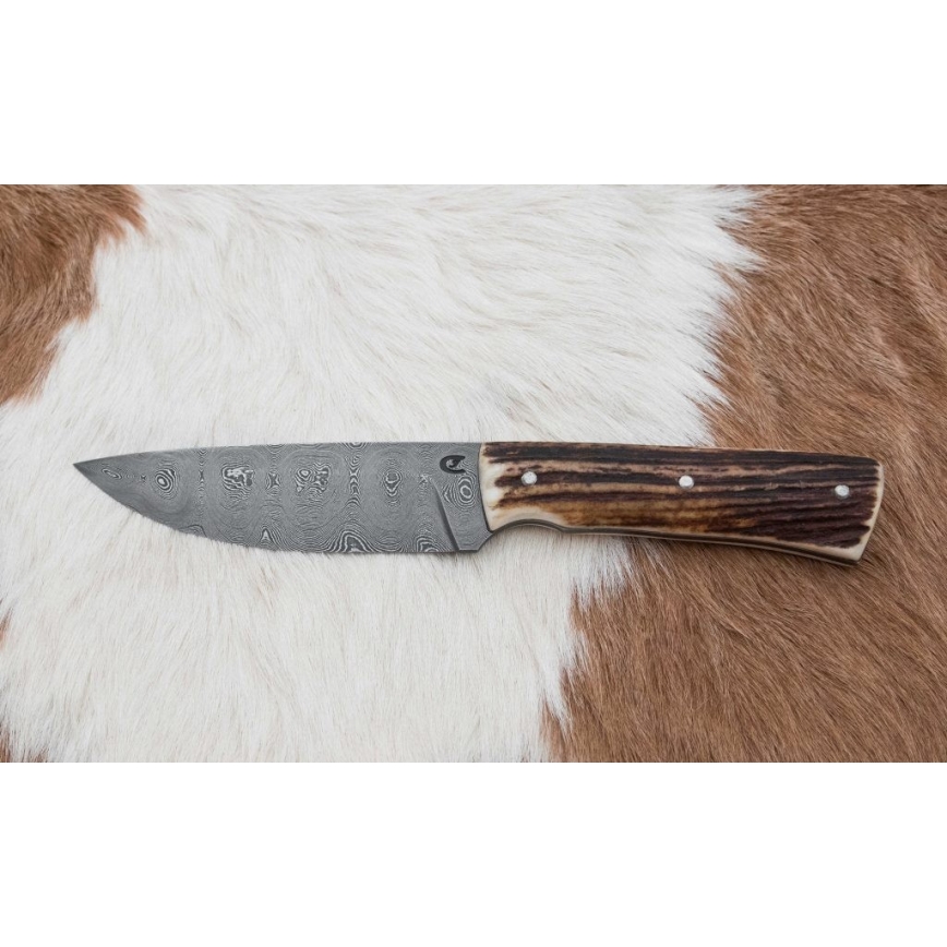 Damaskos metsästysveitsi minisahalla 11 cm poronsarvet