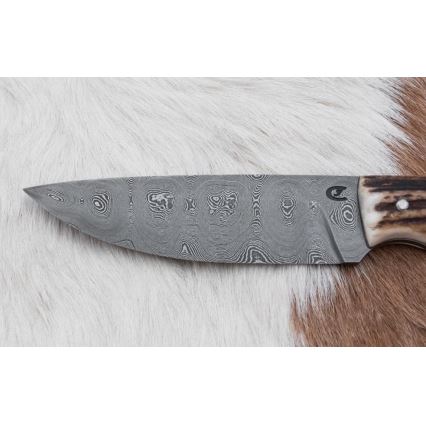 Damaskos metsästysveitsi minisahalla 11 cm poronsarvet