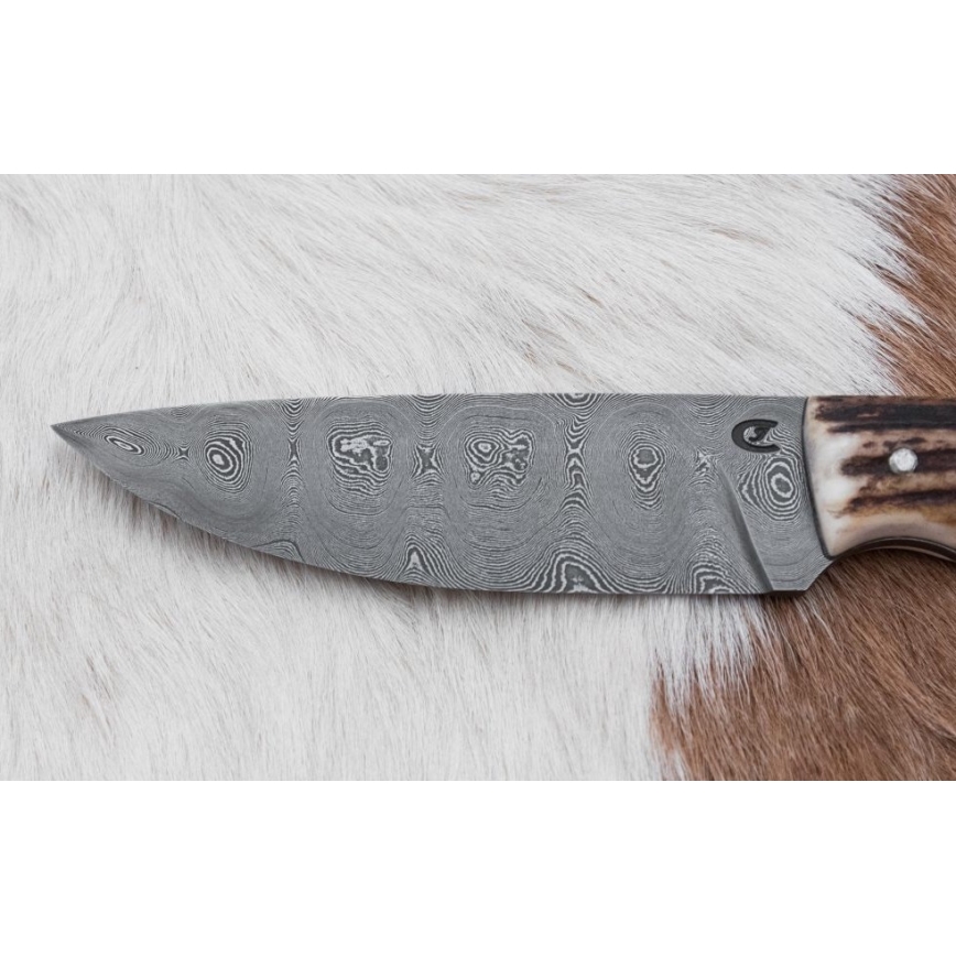 Damaskos metsästysveitsi minisahalla 11 cm poronsarvet