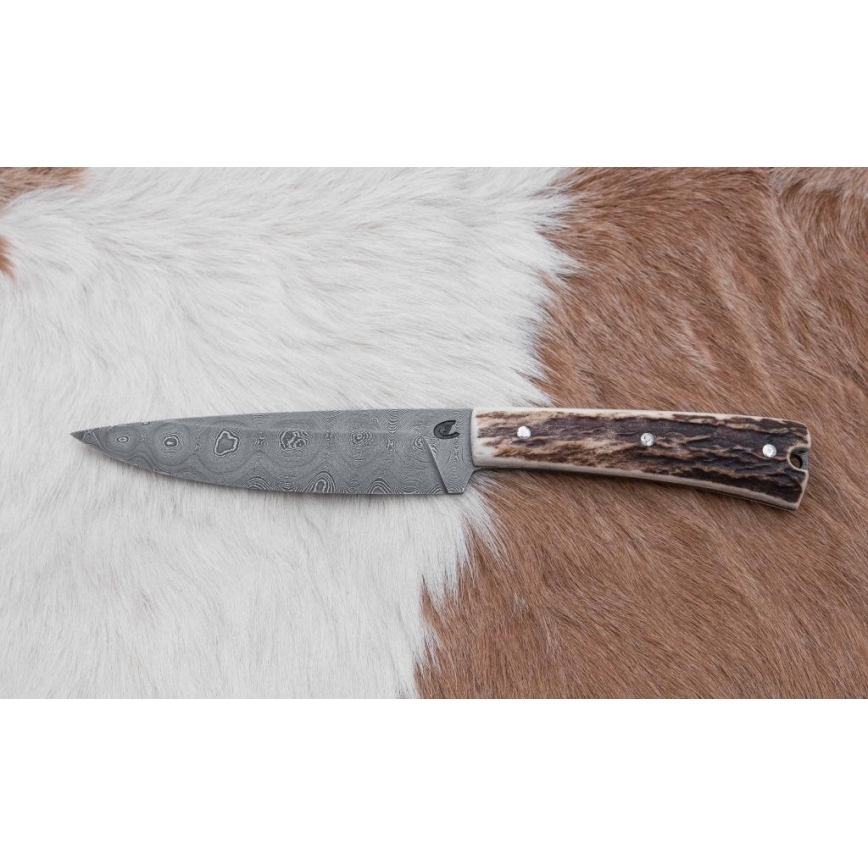 Damaskos metsästysveitsi minisahalla 12 cm poronsarvet