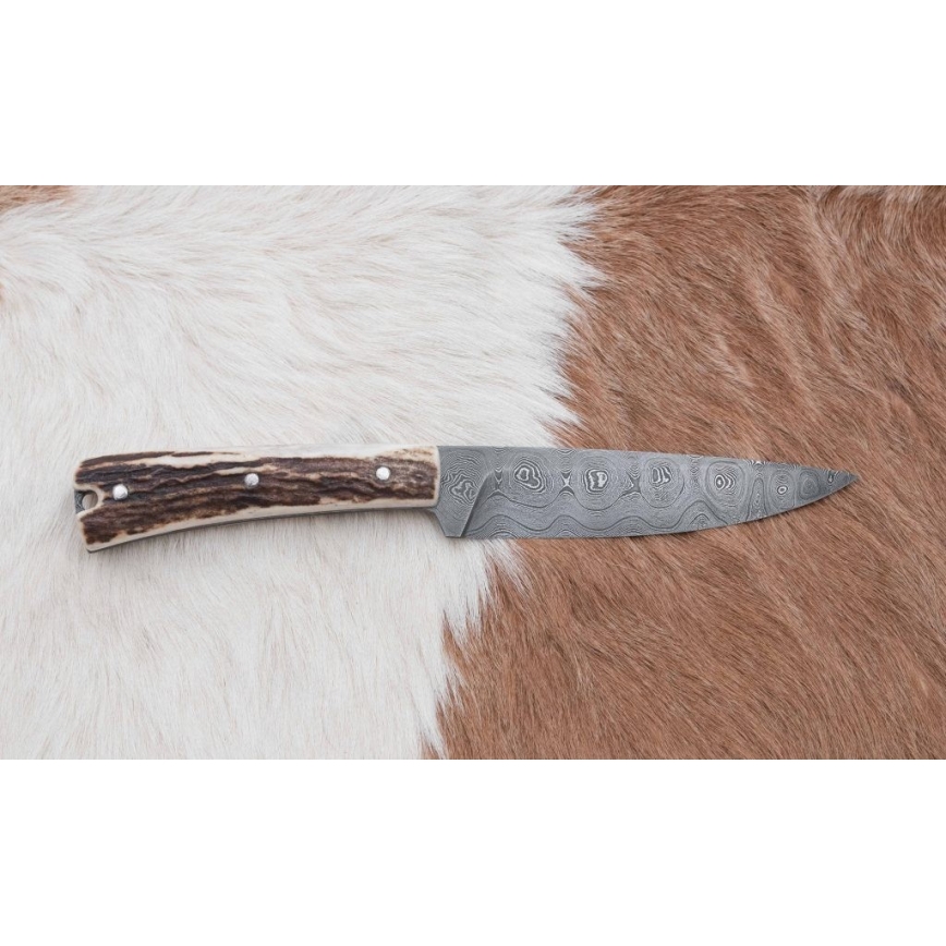 Damaskos metsästysveitsi minisahalla 12 cm poronsarvet