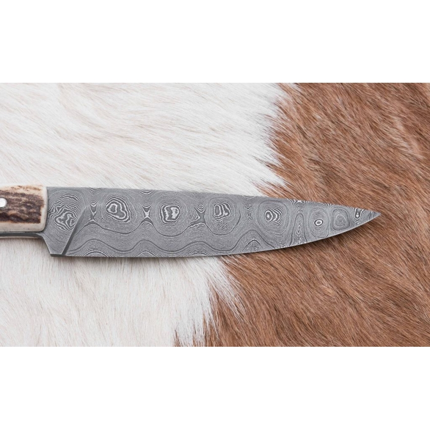 Damaskos metsästysveitsi minisahalla 12 cm poronsarvet