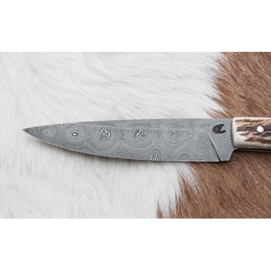 Damaskos metsästysveitsi minisahalla 12 cm poronsarvet