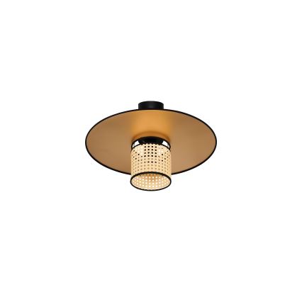 Duolla - Kiinteä kattokruunu TOKYO RATTAN 1xE27/15W/230V halkaisija 50 cm kulta/rottinki