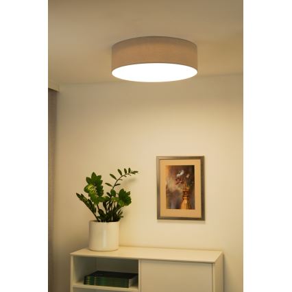 Duolla - LED-kattovalaisin CORTINA LED/26W/230V halkaisija 45 cm 4000K harmaa