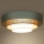 Duolla - LED-kattovalaisin LUNETA LED/26W/230V halkaisija 60 cm 4000K turkoosi/beige/kerma