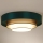 Duolla - LED-kattovalaisin LUNETA LED/26W/230V halkaisija 60 cm 4000K vihreä/kulta/valkoinen