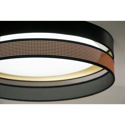 Duolla - LED-kattovalaisin ROLLER DUO SHINY LED/24W/230V halkaisija 45 cm musta/kupari