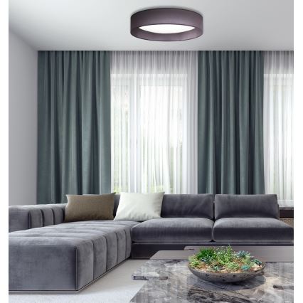 Duolla - LED-kattovalaisin ROLLER LED/24W/230V halkaisija 45 cm antrasiitti