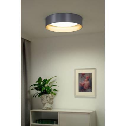 Duolla - LED-kattovalaisin ROLLER LED/24W/230V halkaisija 45 cm hopea/kulta