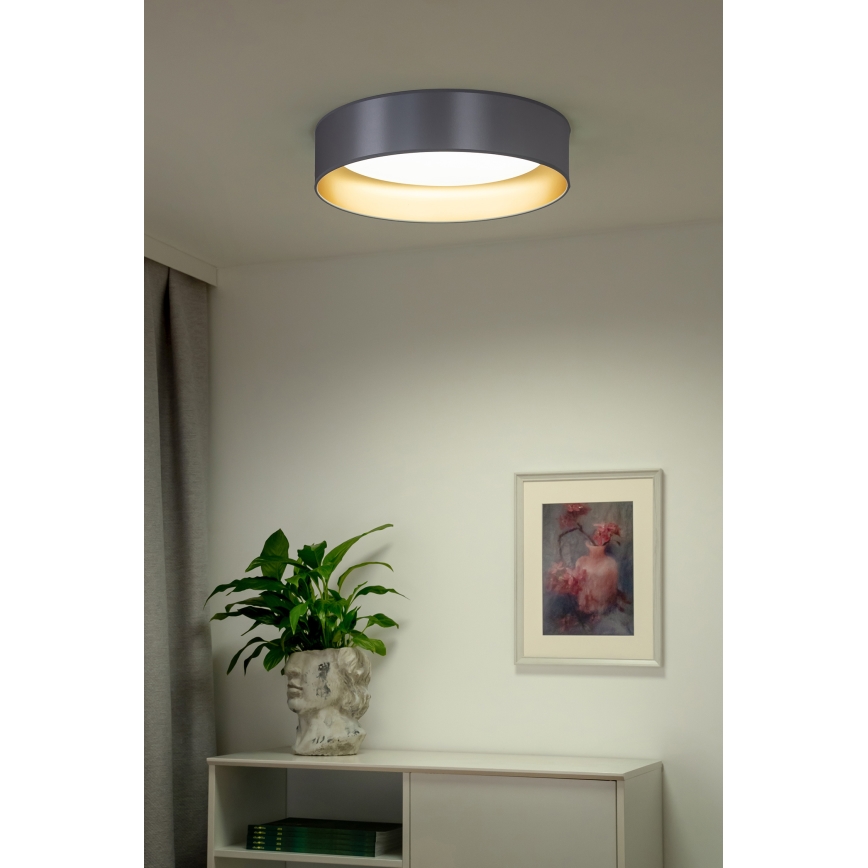 Duolla - LED-kattovalaisin ROLLER LED/24W/230V halkaisija 45 cm hopea/kulta